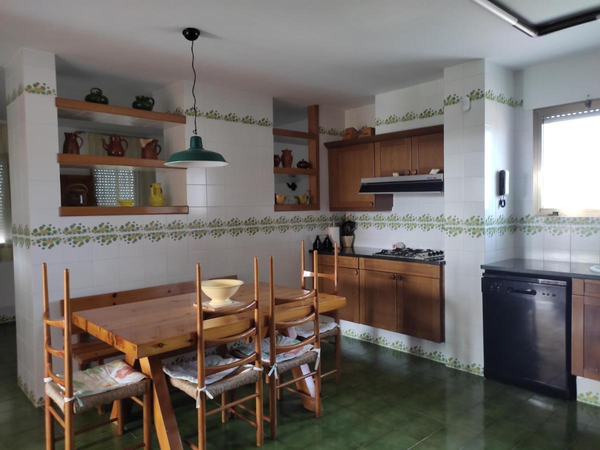 Villa De L'Ebre Deltebre Dış mekan fotoğraf